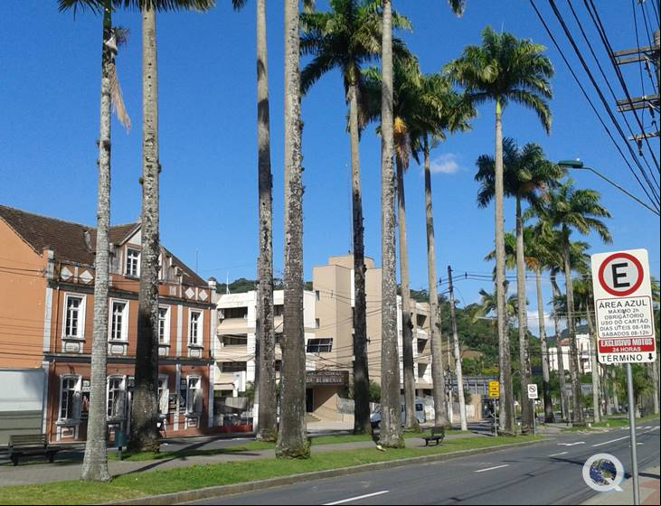 Rua das Palmeiras - Blumenau - Estado de Santa Catarina - Regi