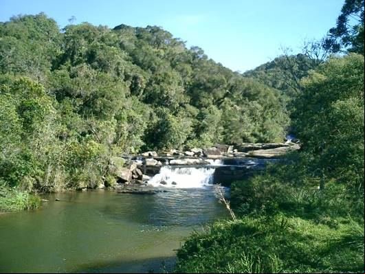 Rio Paraibuna - Parque Estadual da Serra do Mar - N