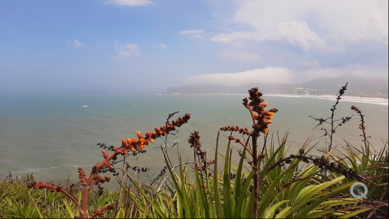 Praia do Rosa vista da trilha para a Praia Vermelha - Imbituba - Litoral Catarinense - Estado de Santa Catarina - Regi