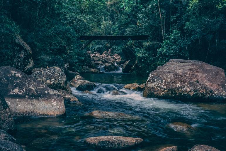 Parque Nacional do Itatiaia - Itatiaia - Estado do Rio de Janeiro - Regi