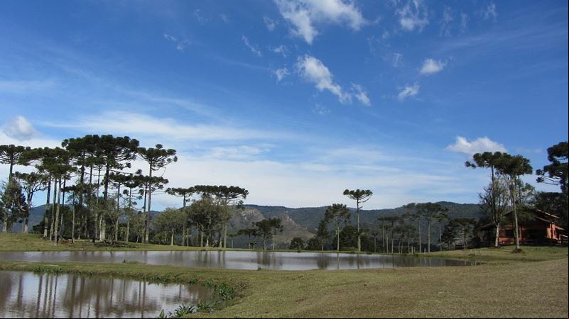 Cascata V