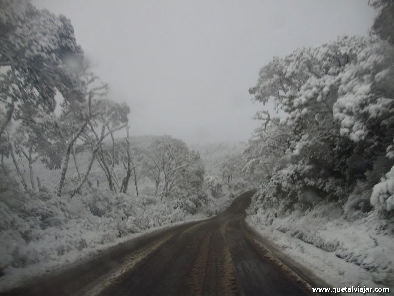 Serra Catarinense - Urubici - Regi