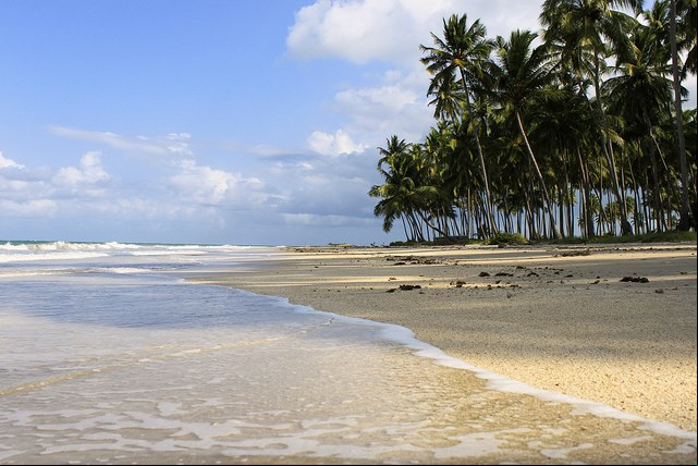 Praia dos Carneiros - Tamandar